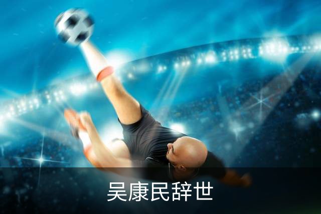 吴康民辞世