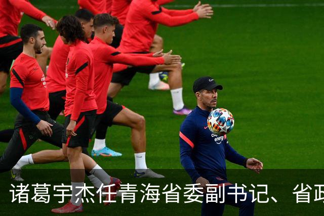 诸葛宇杰任青海省委副书记、省政府党组书记