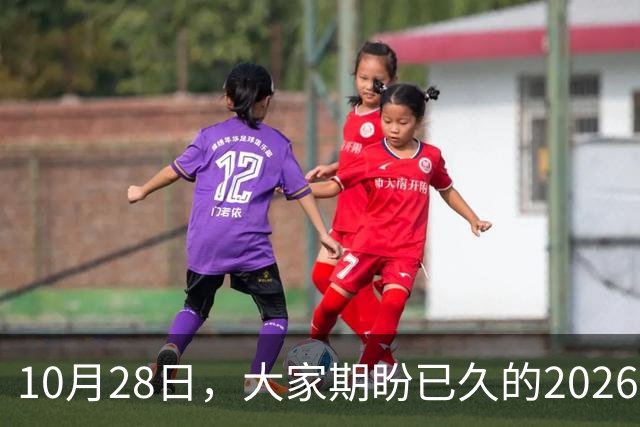 10月28日，大家期盼已久的2026退休养老金，究竟涨还是不涨？