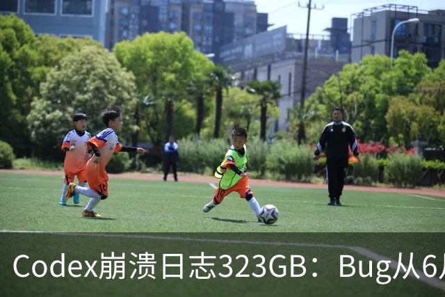 Codex崩溃日志323GB：Bug从6月拖至今